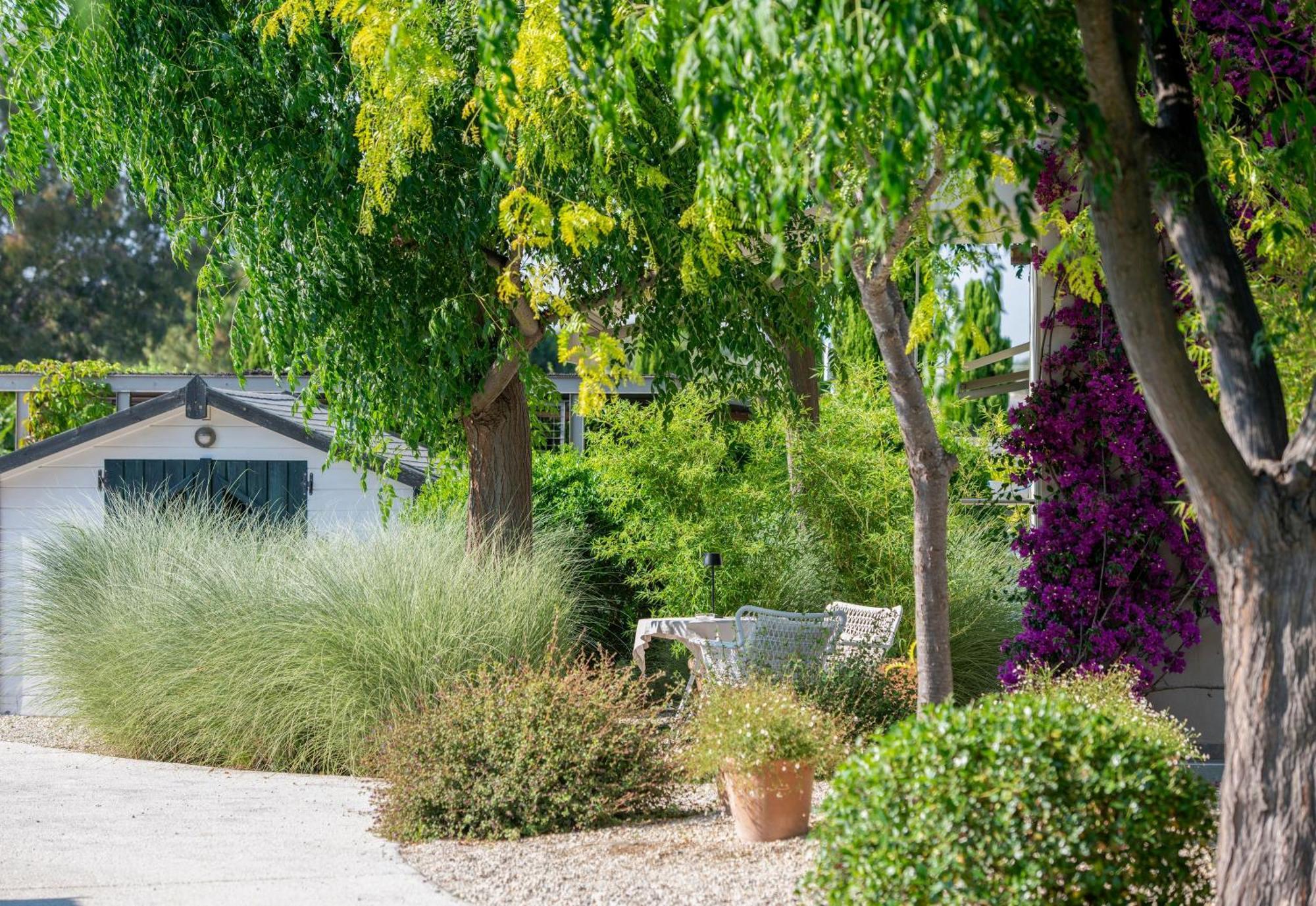 אורמוס פנגיאס Ammouda Villas מראה חיצוני תמונה